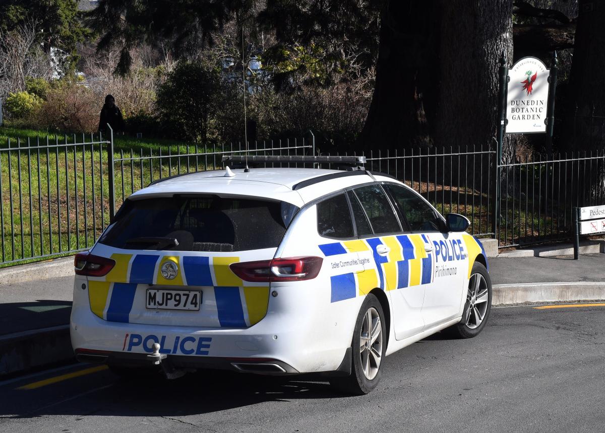 Young women groped in Dunedin attacks