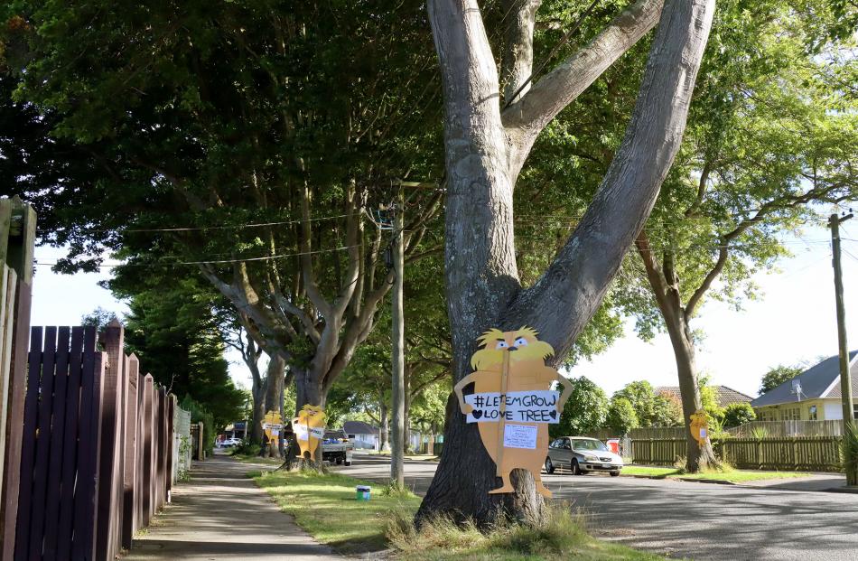 Residents are still waiting for an update from the city council on its plans to remove the trees...