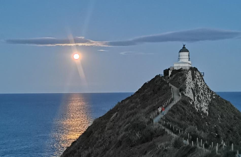 At the Nugget Point lighthouse. Photo: David Hunter