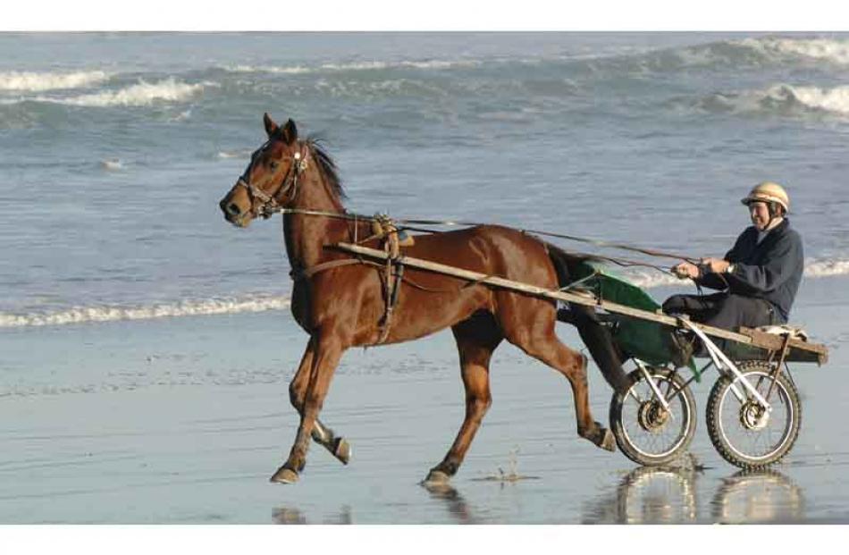 Ken Robertson working Harvey Krumpet at Ocean View. PHOTO: LINDA ROBERTSON