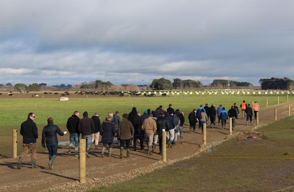 Visitors to the dairy hub head down the lane to look at winter crops planted on the farm.