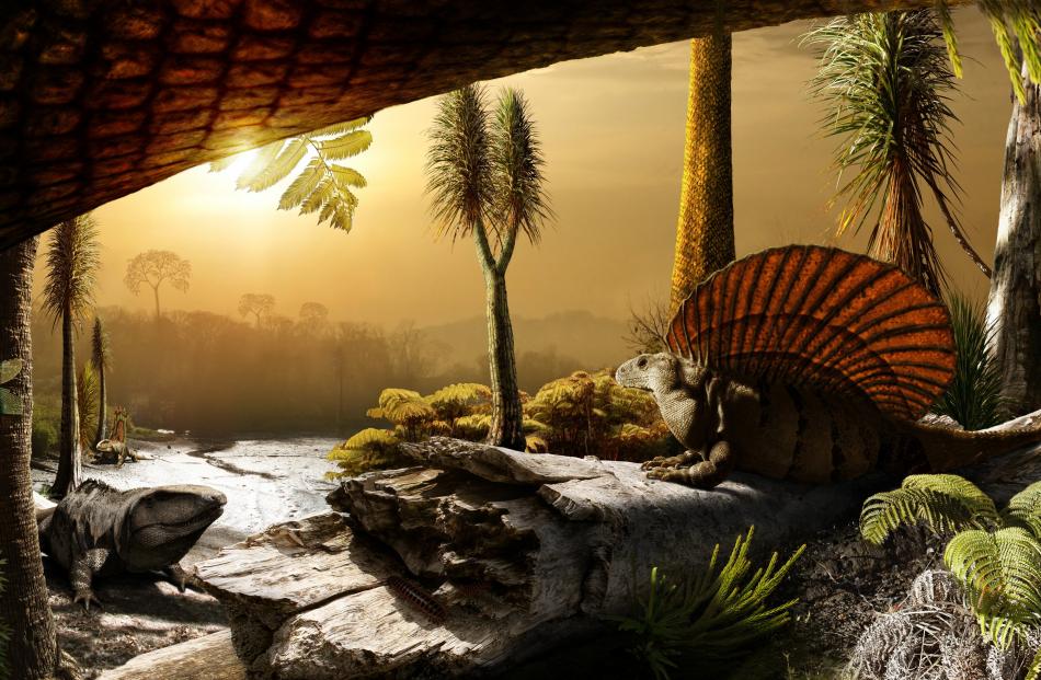 The sail-backed Dimetrodon was among the pelycosaurs ("basin lizard''), which evolved into a...