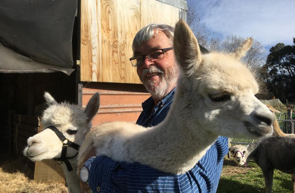 Day attracts alpaca fans Otago Daily Times Online News