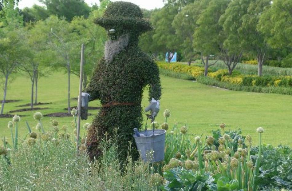 A topiary gardener keeps an eye on a vegetable plot. Photo by Gillian Vine.