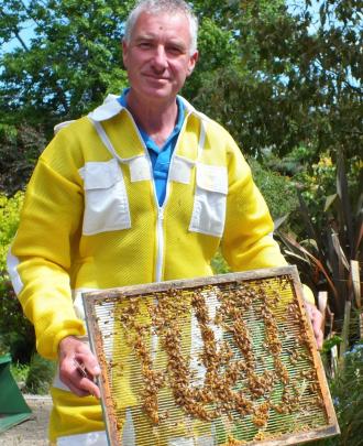 Murray Rixon says his yellow suit is more bee-friendly that the traditional white. 
