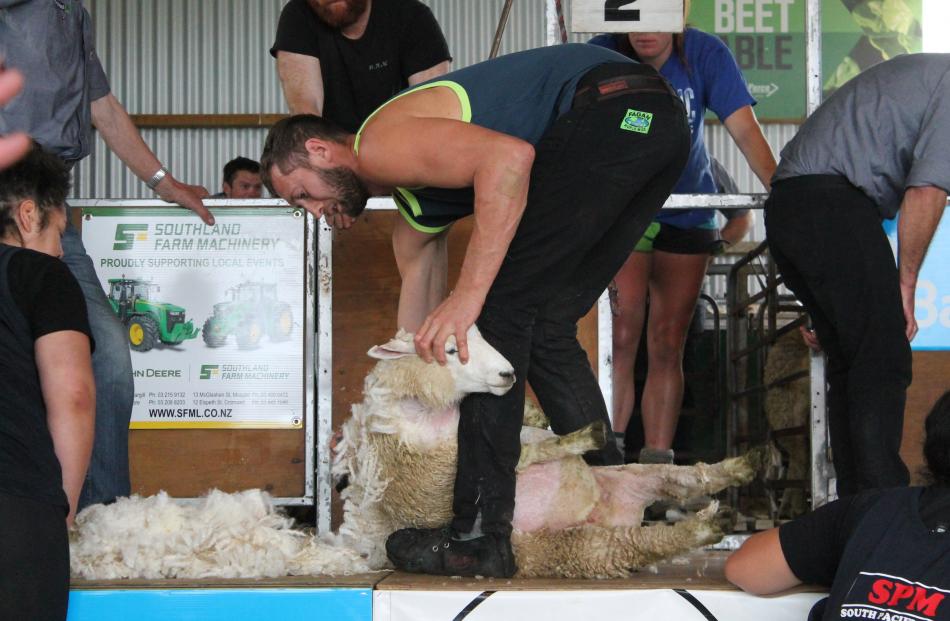 Brook Todd in action during the shearing competition.