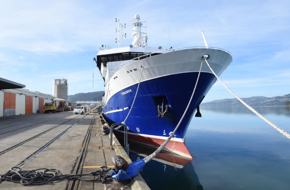 The towering ship takes a break at the Fryatt St wharf. PHOTOS: GREGOR RICHARDSON