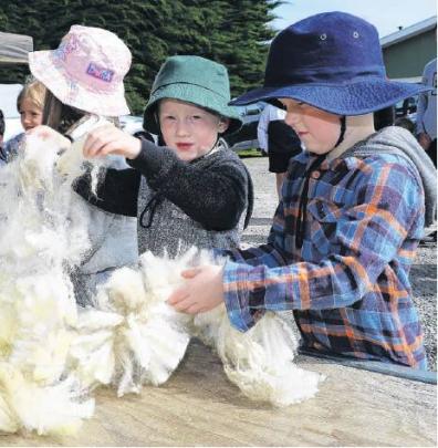 Sampling fleece . . . Twins Levi (left) and Jordan Quartly 5, of Oxford, marvel at the feel of...