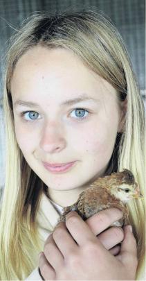 Lovely small bundle . . . Izzy Elliott 14, of Oxford, with one of her pet birds at the petting...
