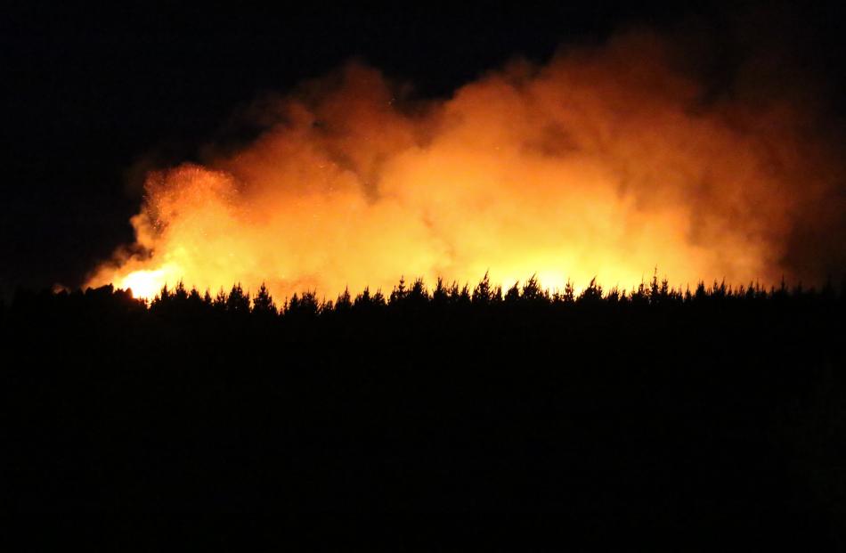Night fire . . .The large fire in the forests at Pegasus and Woodend Beaches, north of...
