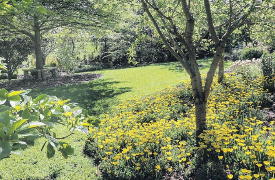 First on the list . .. The Maskells Road garden of Juliet and David Hunter in Amberley, drew in...