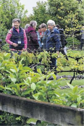 Plenty on show . . . Visitors to the Blue House were treated to an expansive garden combining...