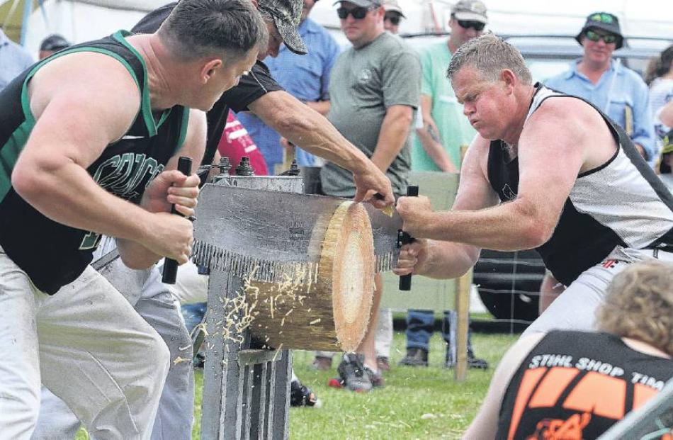 Double hand . . . Rangiora sawmen Neil Hateley (left) and Kelly Earl race against the clock for a...