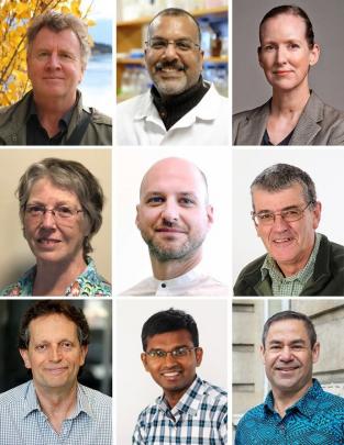 New University of Otago professors announced yesterday are (top row, from left) Ian Barber ...