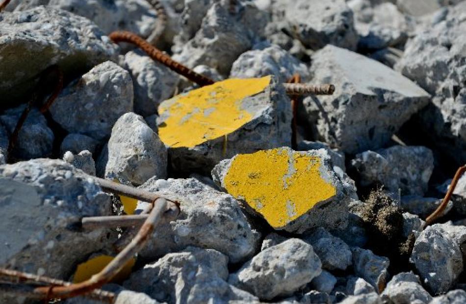 Nuggets of Otago gold in the terrace rubble.