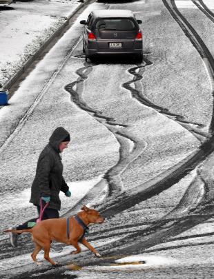 A dog walker crosses the tracks made by a car that became stuck in Colinsay St, in Halfway Bush.