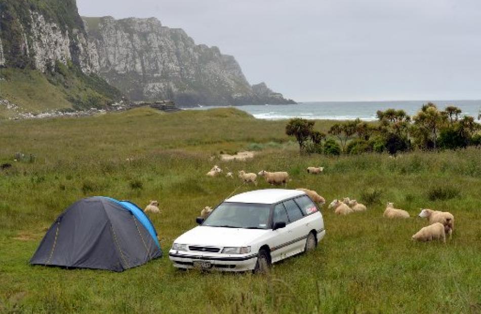 Freedom camping in Purakaunui Bay.