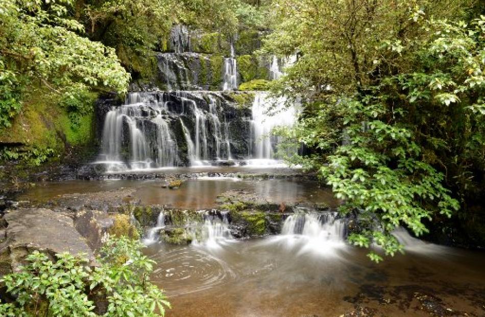 The Purakaunui Falls are a short walk from the road.