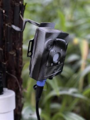 Cacophony’s powerful thermal camera uses AI to make visual detections and classifications of...