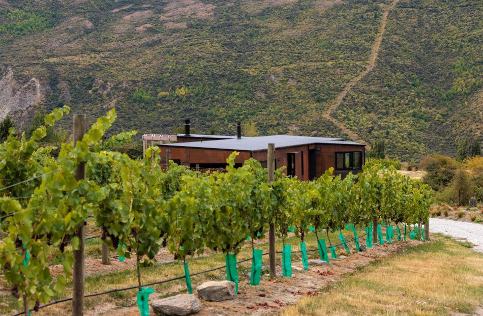 The site comprised established vines, elevated on the southern slopes of the valley and...