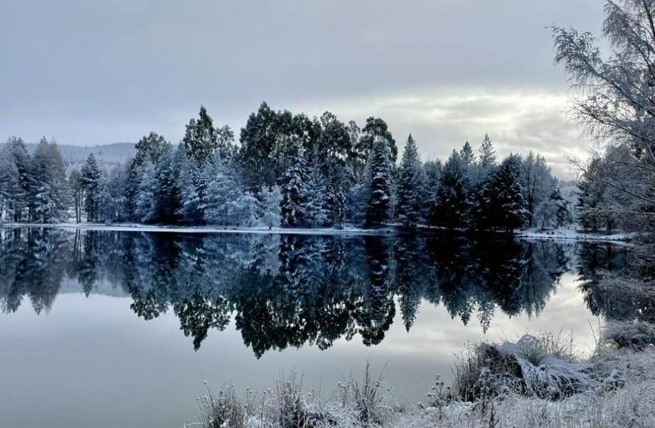 Naseby Forest Recreation Area. Photo: Supplied