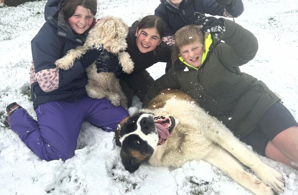 Clare Horton (10), Violet Gray (12), Laura Horton (12) and Ollie Vaughan (12) with Suki, the...