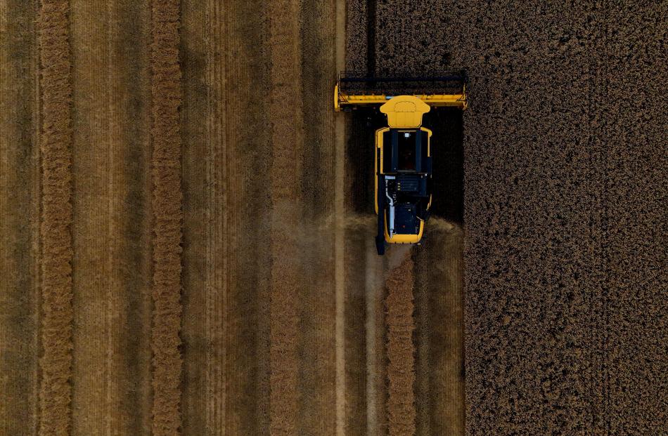 A farmer harvests a field of wheat with a combine harvester, in Rathangan, Ireland. PHOTO: REUTERS