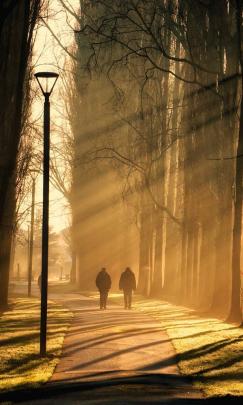 In the colour and light category, Anne-Marie Gutschlag’s photo of a stroll through Queens Park in...