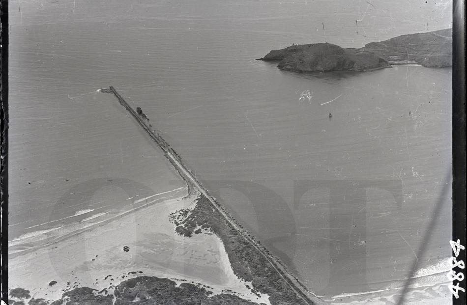 Aramoana Mole January 1950