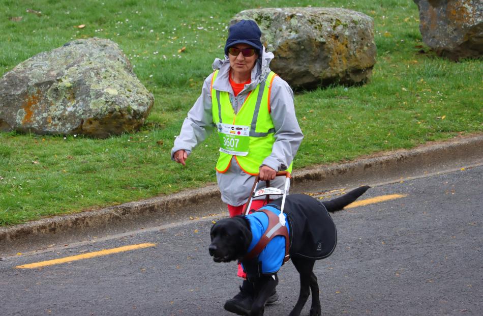 Friendly walk ... Pam Mahuika and guide dog Mila take part in the 10km walk during the Emerson's...