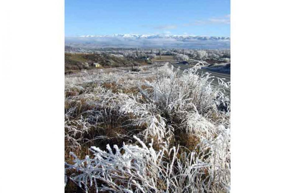 Hoar frost at Poolburn- McTavish's hut to the left.