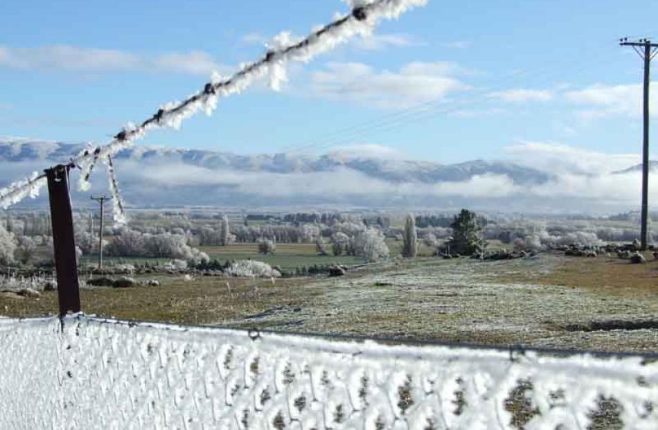 Hoar frost in the Manuherikia Valley.