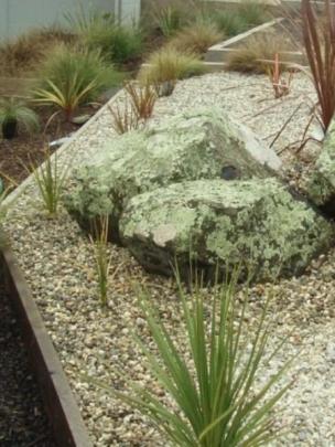 Natural rocks from Rocksville Rocks, in Dunback.