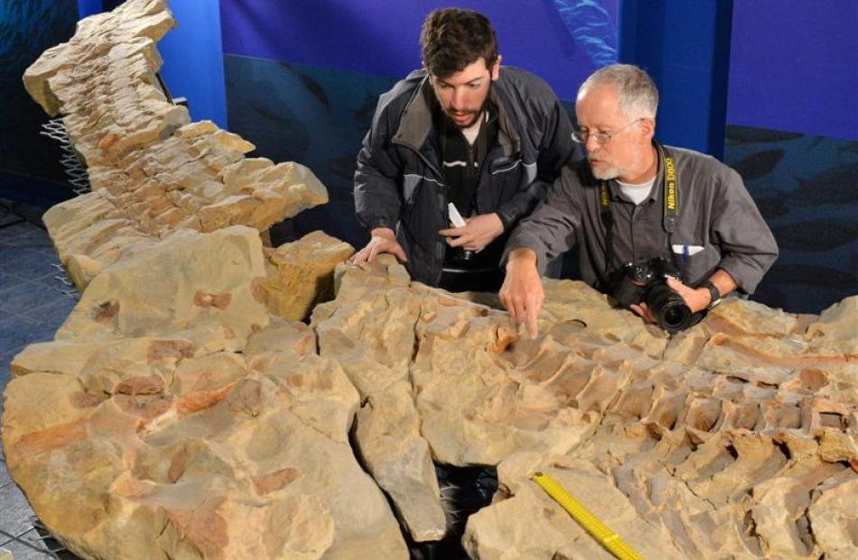 International interest in Shag Point fossil | Otago Daily Times Online News