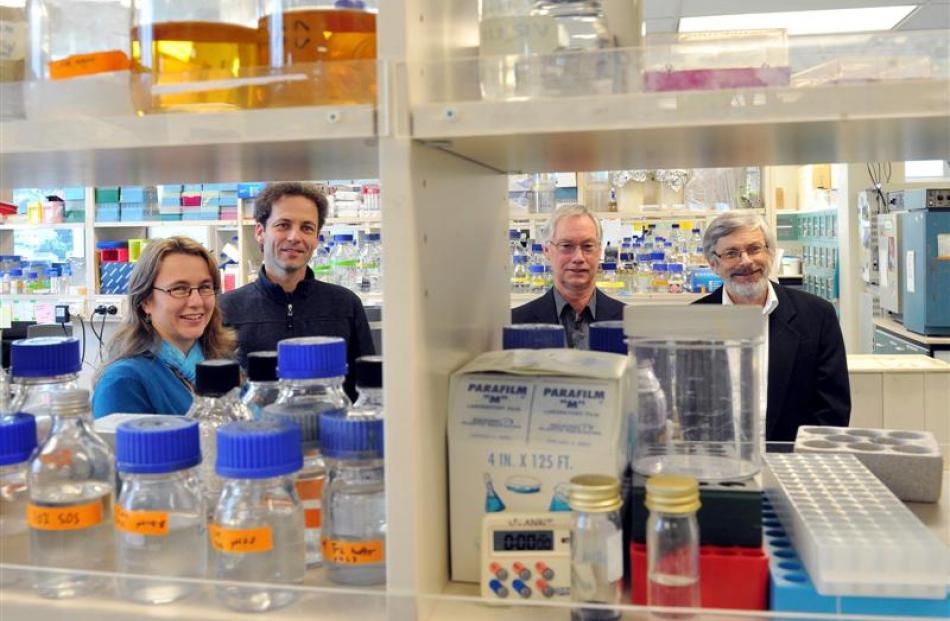 Prof Andrew Mercer, at right,  of the University of Otago microbiology and immunology department,...