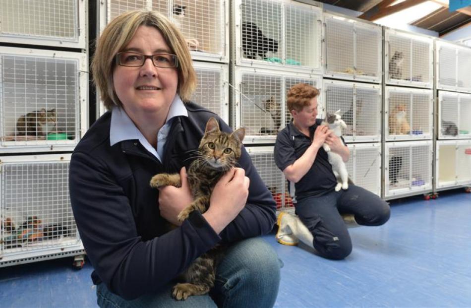 SPCA Otago executive officer Sophie McSkimming (left) and animal attendant Maartje Hyink cuddle...