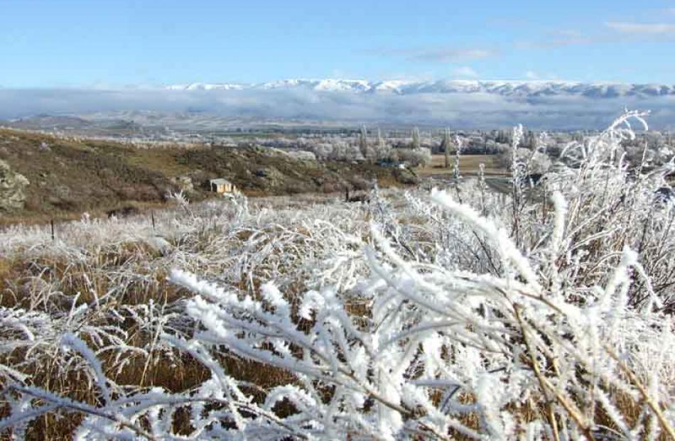 Hoar frost at Poolburn- McTavish's hut to the left.