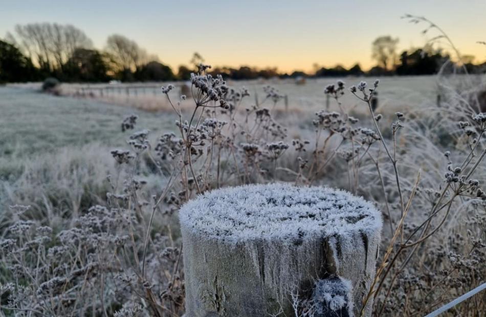 A frosty fencepost in rural Canterbury. Photo: RNZ / Jean Edwards