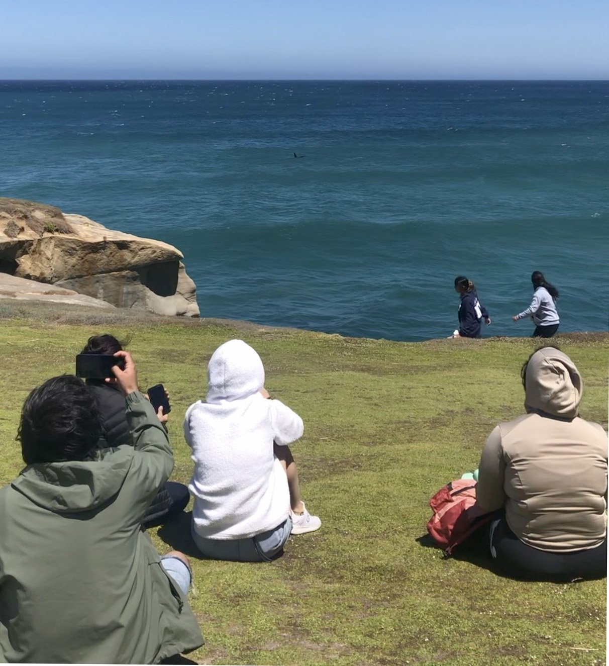 Visitors to Tunnel Beach watch an orca (circled) in the distance. PHOTOS: REBEKAH TAMBLYN