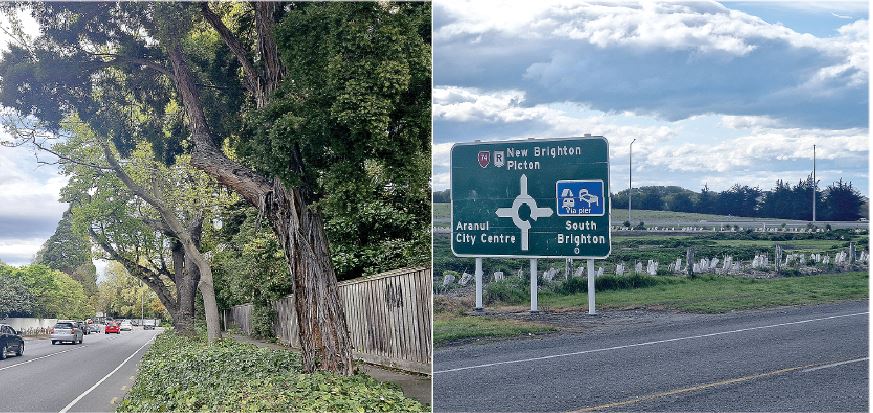 Areas like Straven Rd in Fendalton are examples of high tree canopy coverage in more affluent...