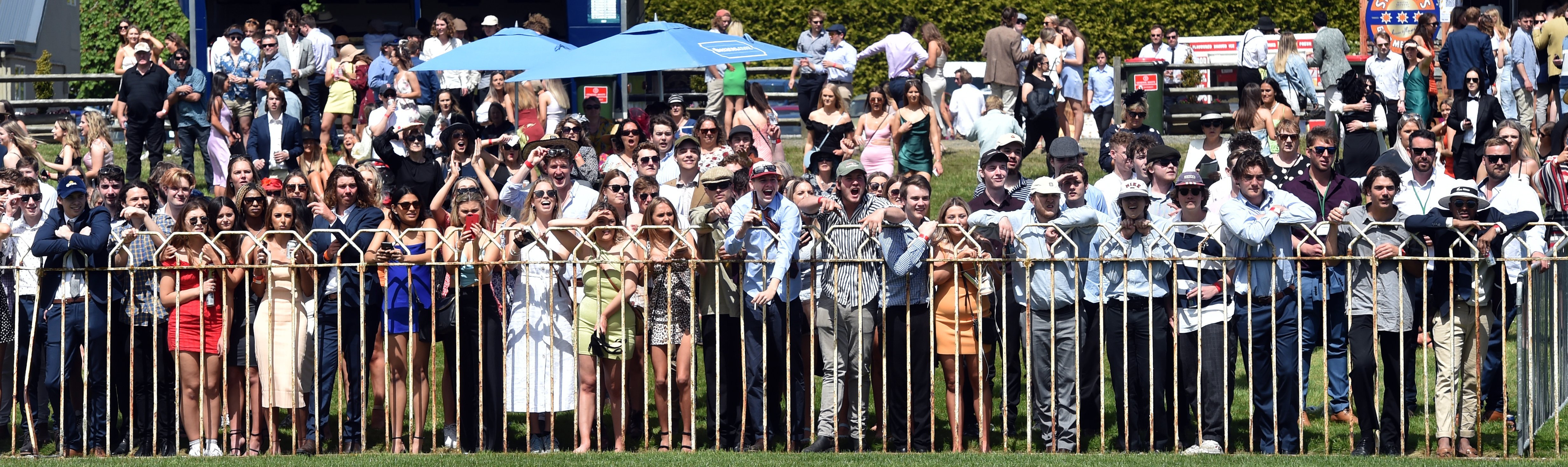 Race goers cheer on race 5 during the 2020 Melbourne Cup Race meeting at Wingatui yesterday. Photo: Peter McIntosh