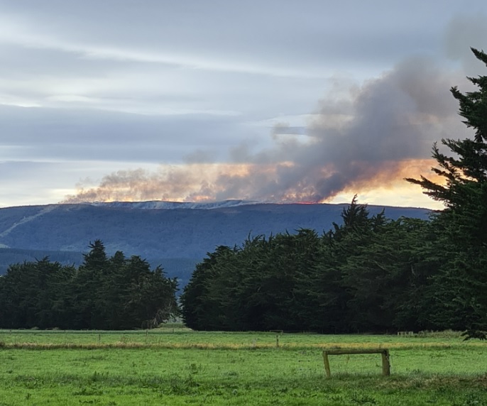 Smoke from the fire at Waipori Falls can be see from as far away as Henley. Photo: Bree Thompson