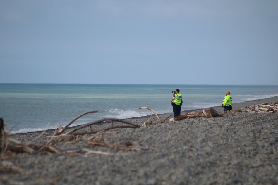 Police officers watch from the shore.